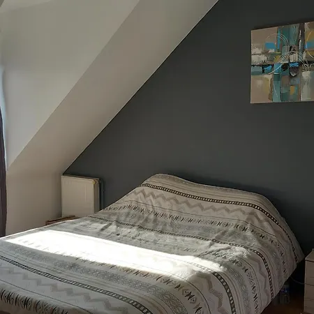 Villa Maison Climatisee Proche Circuit Des 24h *